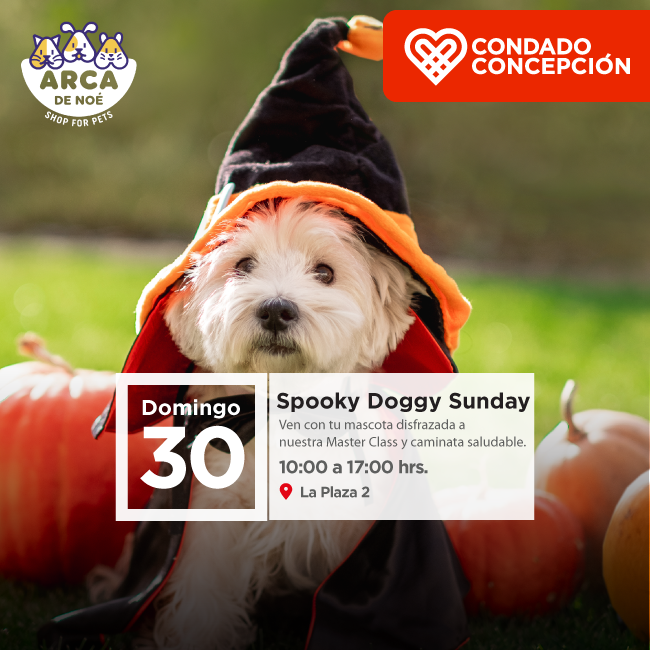 Spooky Doogy Sunday
